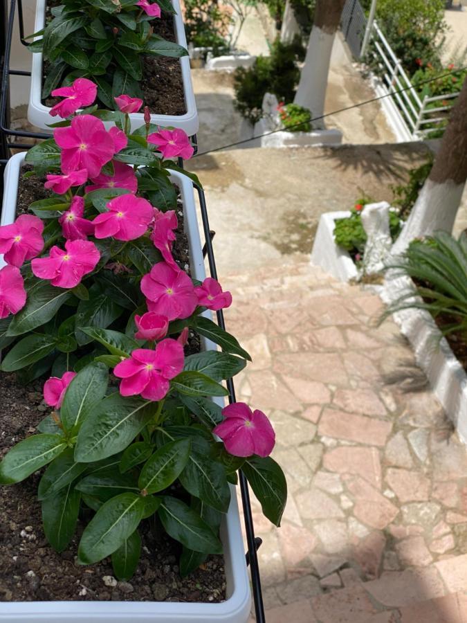 Apartamente Berti'S Garden Sarandë Exteriér fotografie