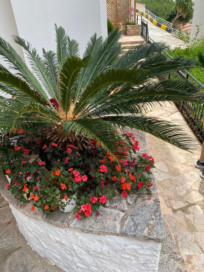 Apartamente Berti'S Garden Sarandë Exteriér fotografie